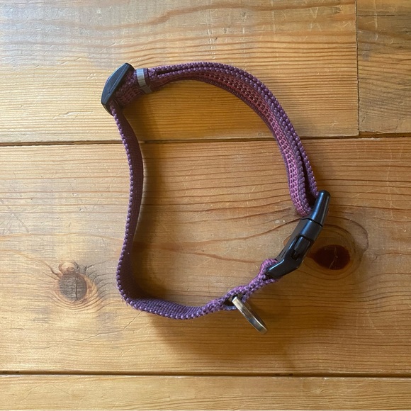 🐕‍🦺3 for $20 - Dog Collar - Picture 2 of 4